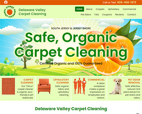 Delaware Valley Carpet Cleaning